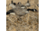 Greenhead Gear FFD Elite Full Body Honkers Decoy,Harvester Pack w/6-slot bag,1/2 Dozen 71577