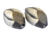 Greenhead Gear Over-Size Duck Decoy,Mallard Shells/Harvester Pack,Dozen 70167