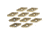 Grizzly Industrial 10 Inserts for Stainless Steel for T10447, T10448, T10449 and T10450 T10452