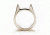Guard Dog Security BearRings, Silver, Small, AP-GDBR-S7