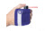 Guard Dog Security Instafire Reflect, 1/2 oz Pepper Spray with Reflective Active Hand Sleeve, Blue, One Size, PS-GDIFR-BL