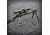 GunSkins Rifle Skin, Kryptek Highlander, One Size Fits All, rifle-skin-highlander