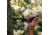 HALF RACK Bow Wing Kit, Black, Medium, HR1651