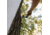 HALF RACK Bow Wing Kit, Black, Medium, HR1651