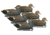 Hard Core Rugged Gadwall, 6-pack, 01-203-0003