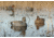 Hard Core Rugged Gadwall, 6-pack, 01-203-0003