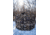 Hawk Treestands Octagon Hunting Blind, Veil, w/Shadow Mesh Technology, Camo/Blackout, HWK-DOX-OCT300