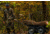 Hawk Treestands Hawk Crawler Game Cart, Black, 3420