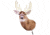 Heads Up Decoy Whitetail Buck Decoy, Brown 73689