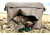 Heavy Hauler Outdoor Gear Fast, Light, Packable  Hunting Blind, Late Season Reeds HH0099-LSR