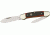 Hen &amp; Rooster Canoe Autumn Folding Knife,Spear and Pen Blade, Autumn Second Cut Bone Handle HR252ASC