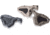 EDEMO HERA Arms CQR Front Grip GEN 2, CA-Version, Black, 11.09.17CA, EDEMO2
