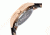 Heritor Odysseus Men's Watches, Rose Gold Case, Black Dial HERHR3708