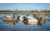 Higdon Outdoors Battleship Oversized Mallards Pack, Flocked Heads, 6 Pack, 16034