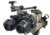 Hog Saddle DOG Leg NV Mount