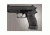 Hogue Sig P245 P220c Prha G10 Gma Blkgry - 24137