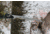 Hooyman 10 Foot Extendable Tree Saw, 655227
