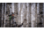 Hooyman 14 ft Pole Saw, Black/Green, 1117119