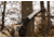 Hooyman Saws 5 ft Extendable Tree Saw HYM1001