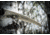 Hooyman Saws Megabite Handsaw, Folds Down To 8 Inches, 110050