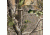 Horn Hunter Drop Tine Deluxe Fanny Pack, Realtree, HH0300RT