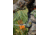 Hunter Safety System Bow Holder System, Camo, BHS