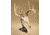 Hunters Specialties SKH-RTTH-ASSY-BLK Realtree Table Hooker Small/Mid-Size Game SKHRTTHASSYBLK