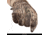 Huntworth Meridian MId Weight Windproof Unlined Hunting Glove - Mens, Hidden, Medium, E-141-HDN-M