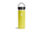 Hydro Flask 20 Oz Wide Flex Cap, Cactus, 20 oz, W20BTS752