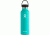 Hydro Flask Standard Mouth 21 oz-Mint