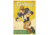 iCanvas Football New by Anderson Design Group Print, Multi, 40x26x0.75 ADG259-1PC3-40x26