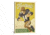 iCanvas Football New by Anderson Design Group Print, Multi, 26x18x0.75 ADG259-1PC3-26x18