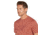Icebreaker Men Merino 150 Tech Lite SS Tee Van Life, Cedar Wood, L, IB0A572G01ML