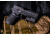 InForce APL-C w/ MIL-STD-1913 Rail, Black, AC-05-1