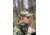 ISOtunes Sport ADVANCE BT Tactical Earbuds with Bluetooth, 26 NRR, OD Green, IT-36