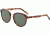 JOOP! 87225 Progressive Prescription Sunglasses, Brown Havana Frame, 87225-4103PR