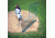 Jugs Sports 7-foot Quick-Snap L-Shaped Baseball Screen S2000 