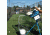 JUGS Albert Pujols Backyard Baseball Package