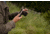 Kite Optics Stabi-One Stabilized Monocular, 10x20mm, Black, K280598