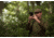 Kite Optics Stabi-One Stabilized Monocular, 10x20mm, Black, K280598