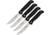 Kizer Cutlery Begleiter Steak Knife