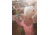 Klean Kanteen Kid Insulated Lpt 12oz Pool K12KVCPPL-TP