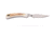 Knives of Alaska Cub Bear Fixed Blade Knife, 2.75in, CPM MagnaCut Stainless Steel, Caping Blade, Stag, Brown And White Sculpted Bone Handle, 00024FG