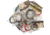 Knotty Boys Bracelet Assortment- 12 Pack KYA1