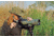 Kowa TSN-88A Prominar 88mm Spotting Scope, Angled, Rugged, Green, TSN-88A ZM SET