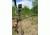 Kwikee Kwiver 5 Arrow Quiver, Air Straight, Lightweight Archery Quivers, Black, K5AIRSBLK