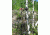 Kwikee Kwiver 6 Arrow Quiver, Air Straight, Lightweight Archery Quivers, Black, K6AIRSBLK