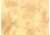 Lastolite 10x24 Washable Muslin Background, Arizona LLLB7854
