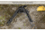 Leapers UTG PRO TBNR Bipod, 7in-9in Center Height, Picatinny, Black, TLUBP02-A