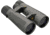 Leupold BX-5 Santiam HD 12x50mm Roof Prism Binoculars, Gray, 175856